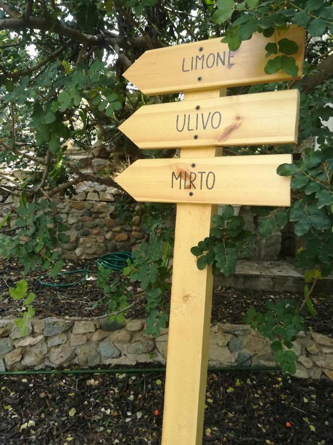 Ulivo Appartement Quartu SantʼElena Buitenkant foto